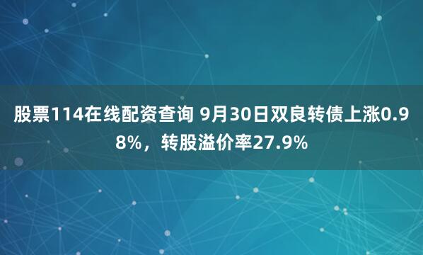 股票114在线配资查询 9月30日双良转债上涨0.98%，转股溢价率27.9%